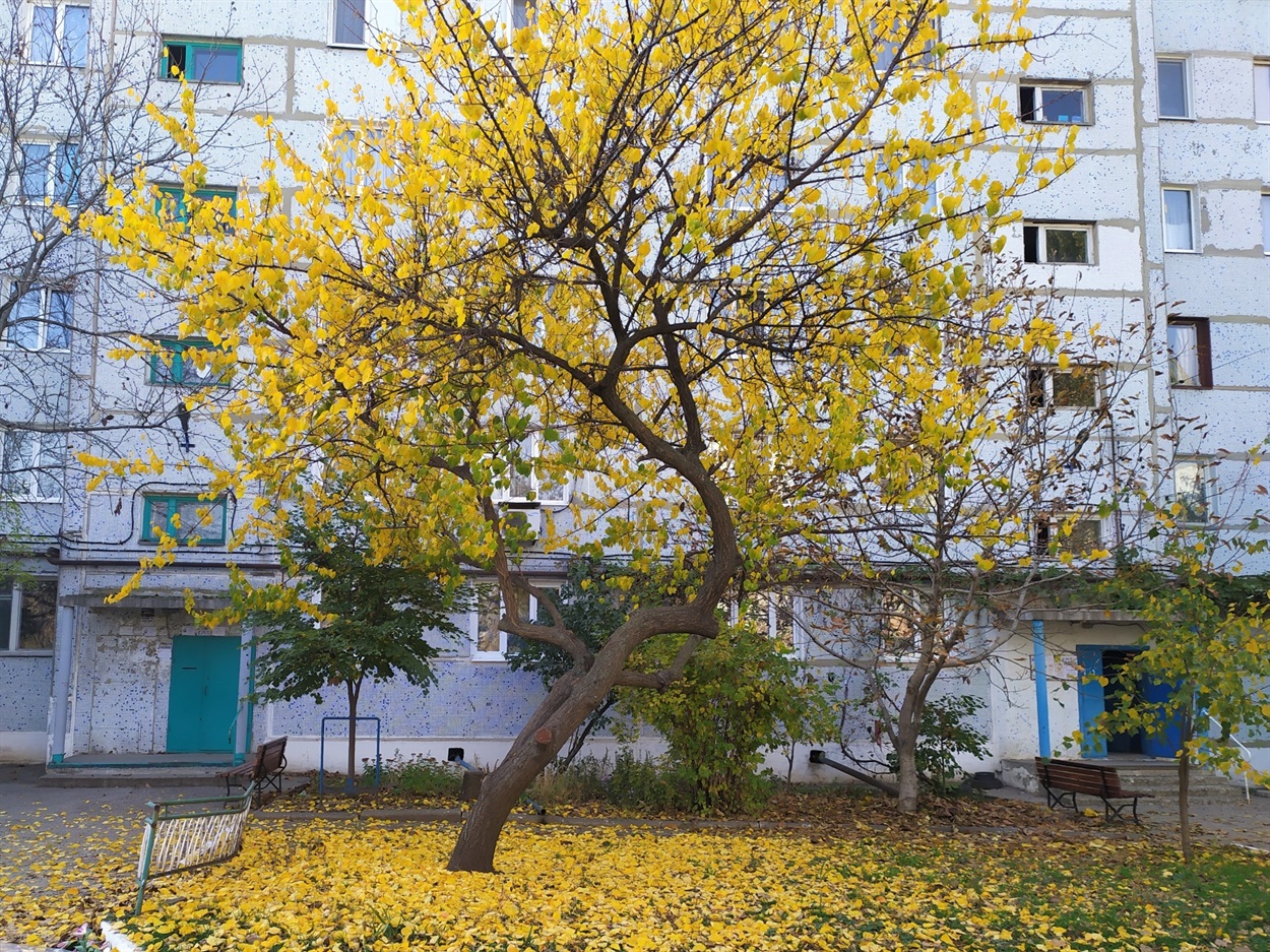 Вулиця Мечнікова