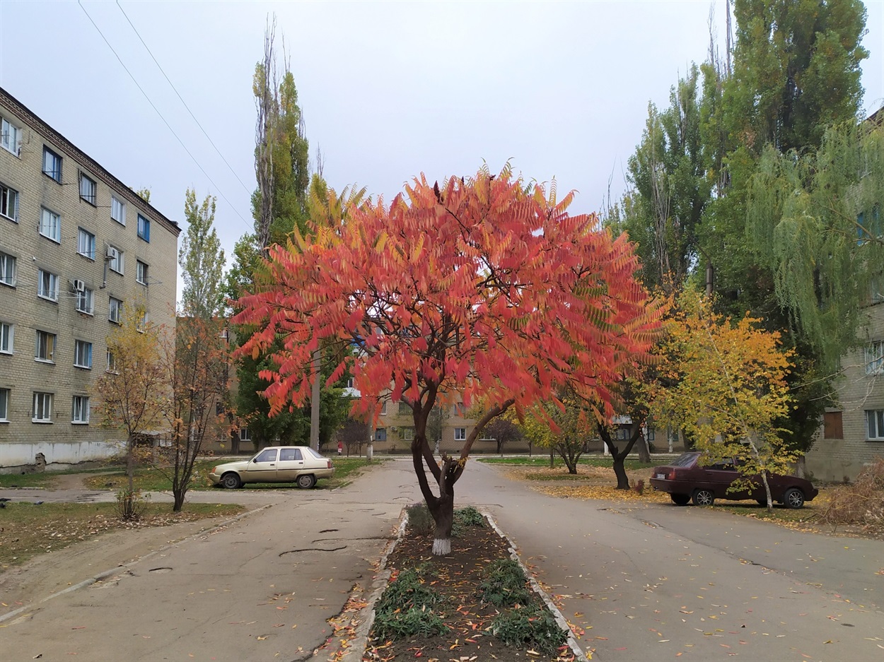 Вулиця Прокоф'єва
