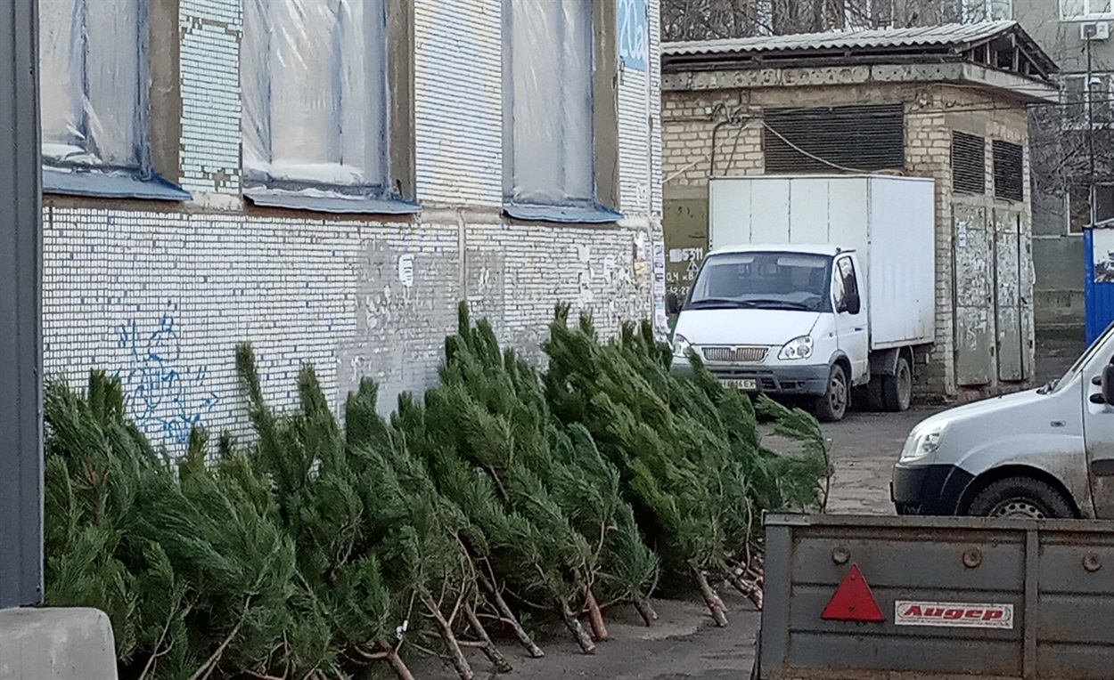 Ялинковий базар біля магазину "Наш край"