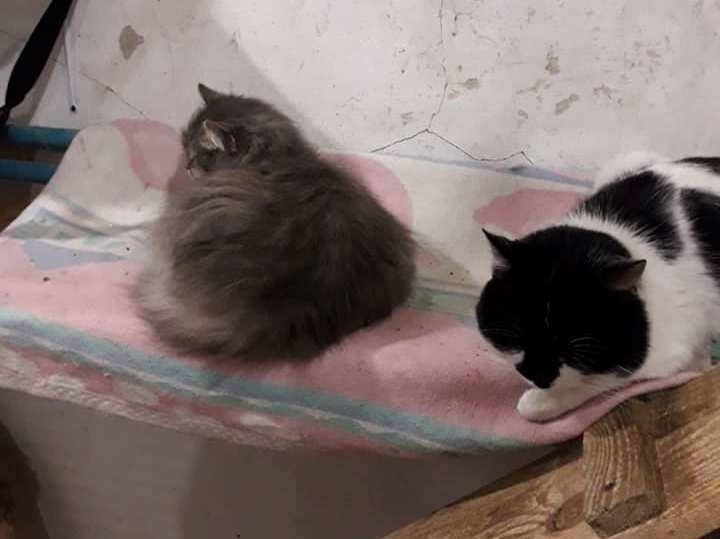 Тут краще, ніж на вулиці