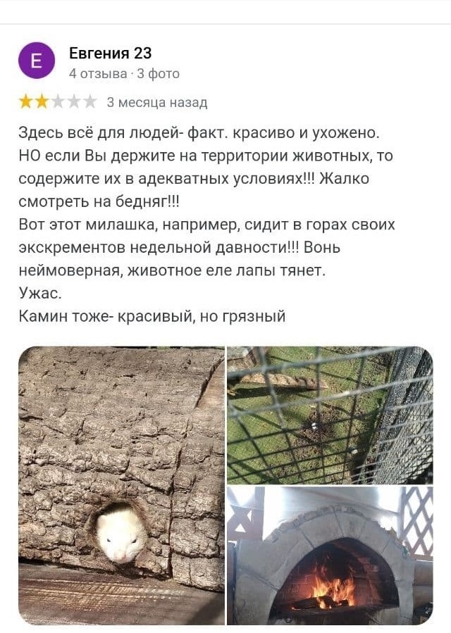 Відгук із соціальної мережі про утримання тварин у міні- зоопарку, опублікований три місяці  назад