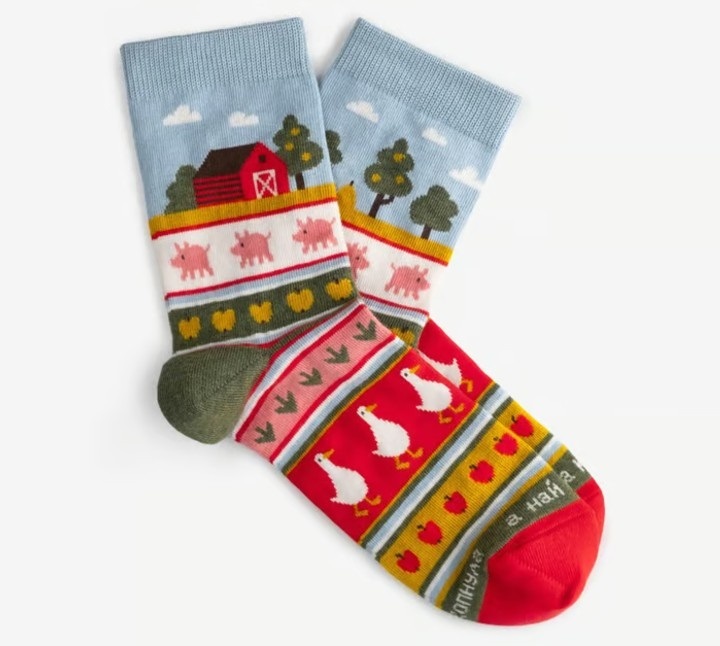 Шкарпетки Dodo Socks